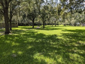 Soccer Field image 1