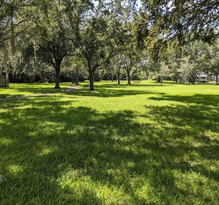 Soccer Field image 2