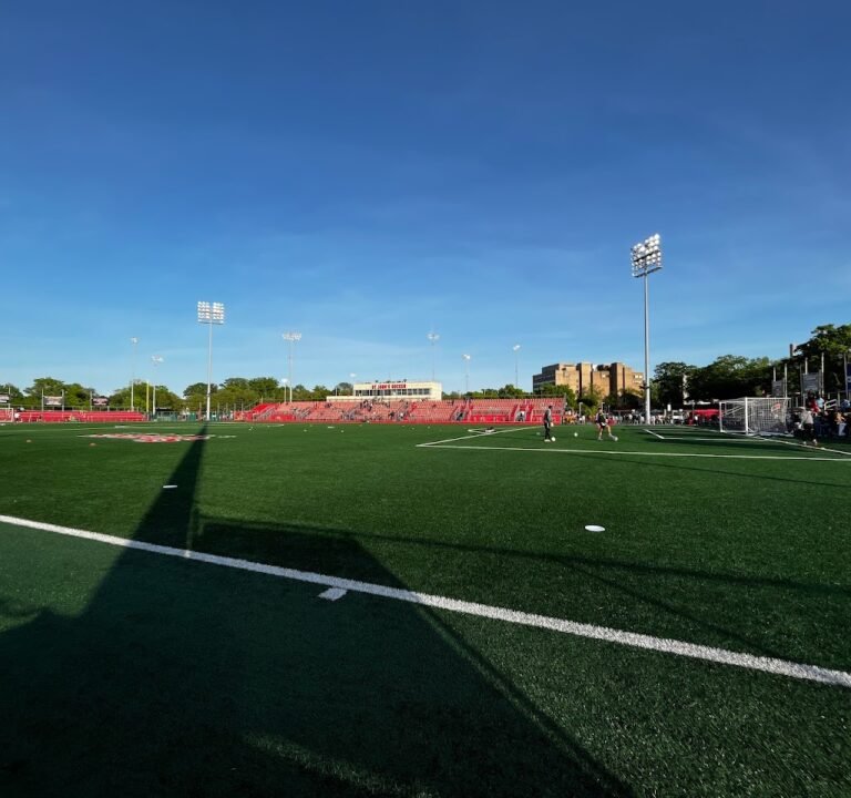 Soccer Field image 2