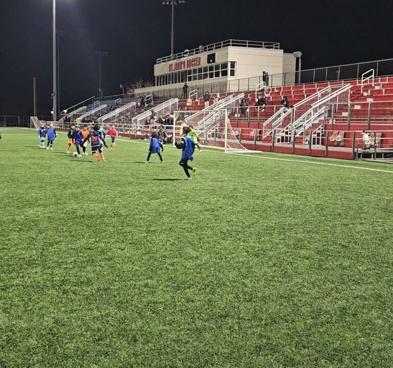 Soccer Field image 3