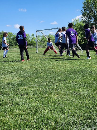 Soccer Field image 1