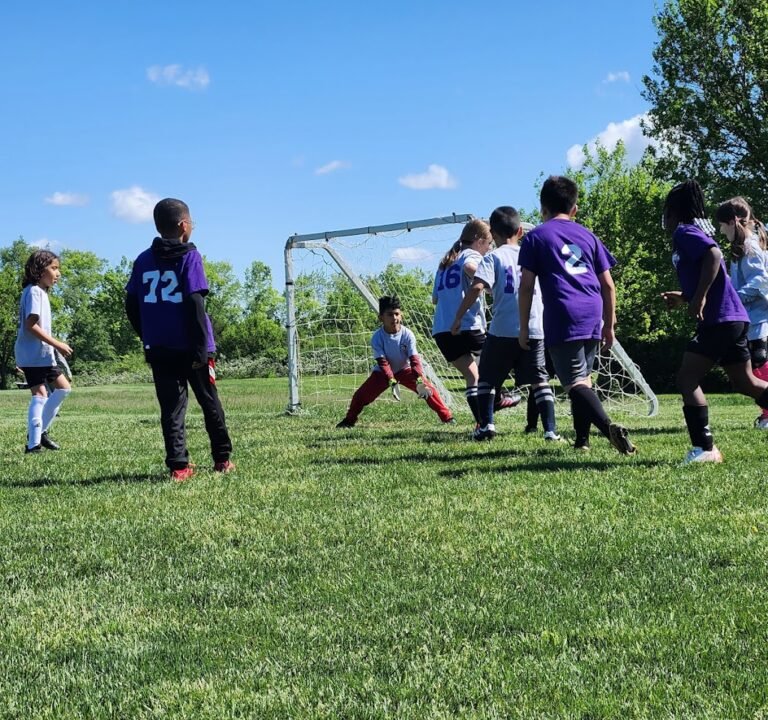 Soccer Field image 3