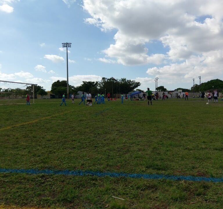 Soccer Field image 2