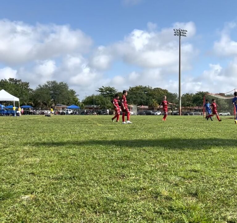 Soccer Field image 4