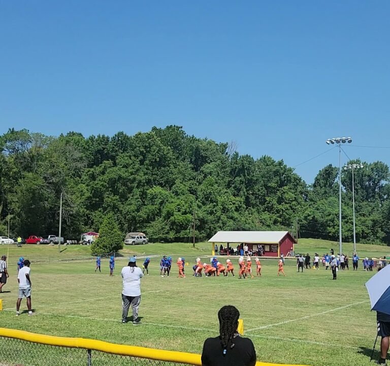 Soccer Field image 2