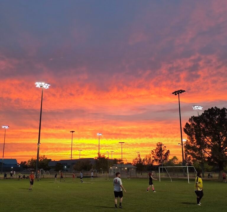 Soccer Field image 2
