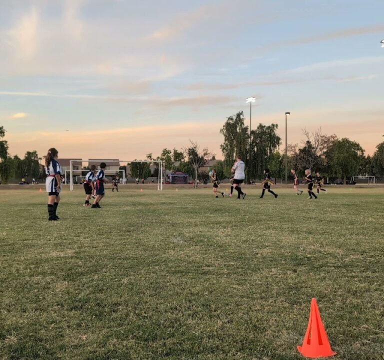 Soccer Field image 4