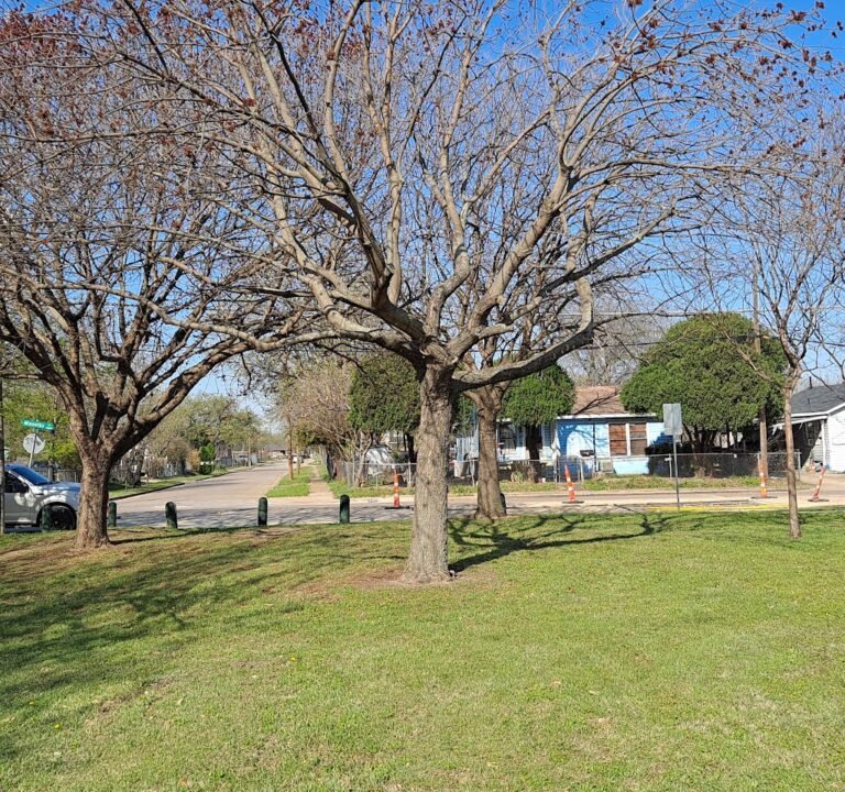 Soccer Field image 2