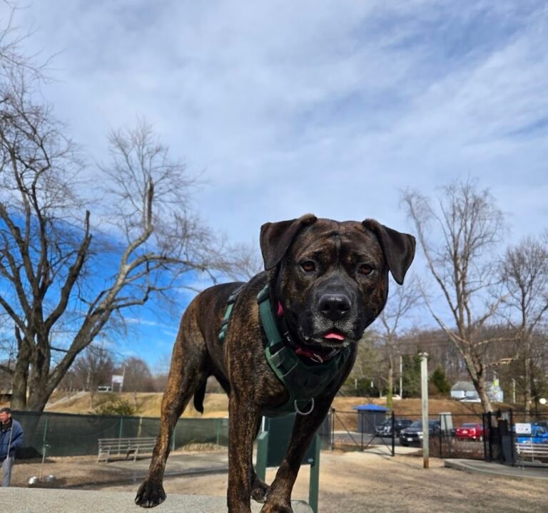Soccer Field image 3