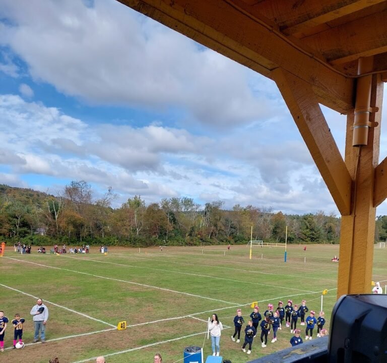 Soccer Field image 2