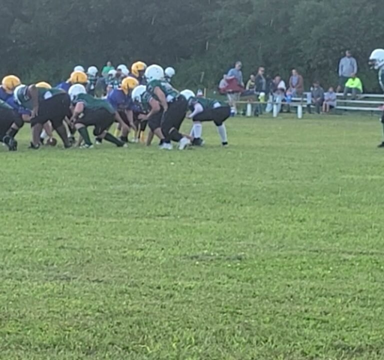 Soccer Field image 3