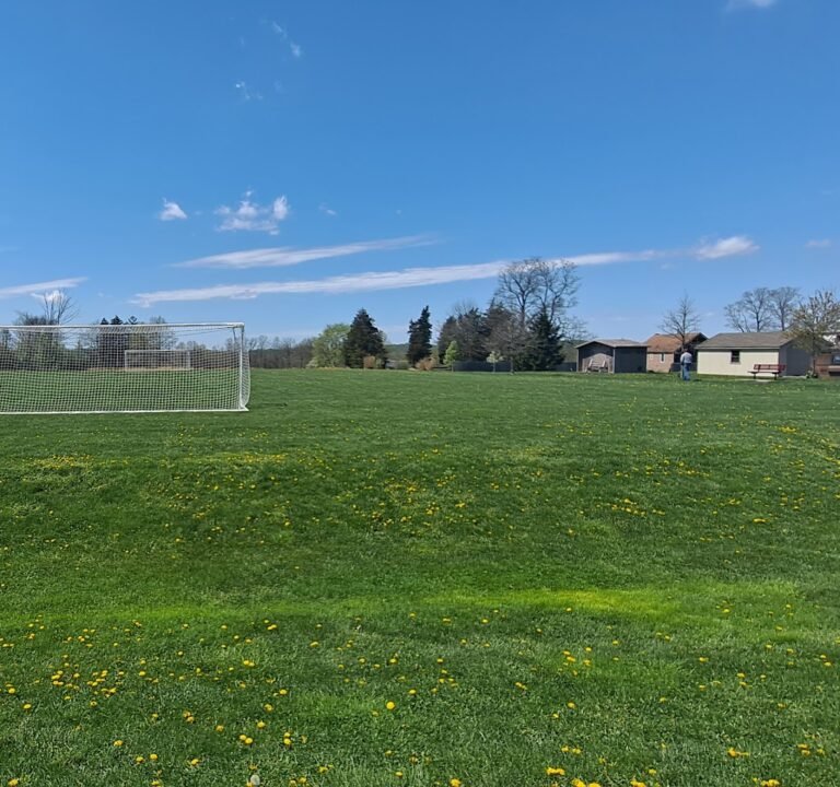 Soccer Field image 3