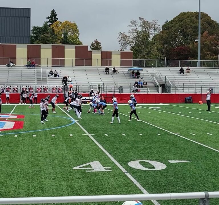 Soccer Field image 3