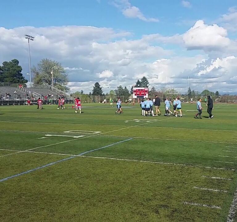 Soccer Field image 2