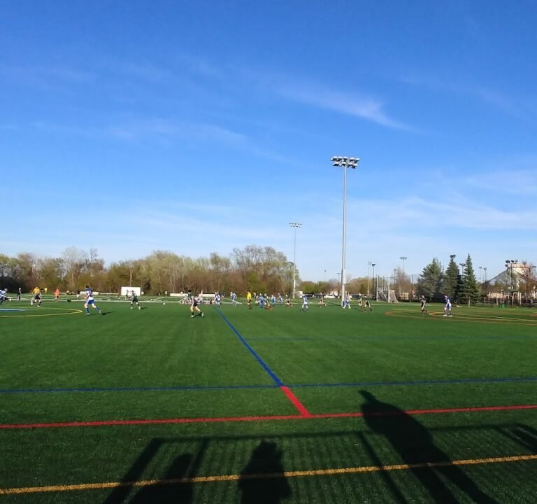 Soccer Field image 2