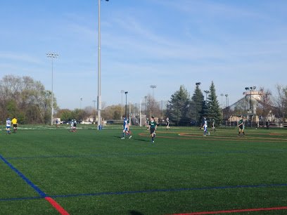 Soccer Field image 1