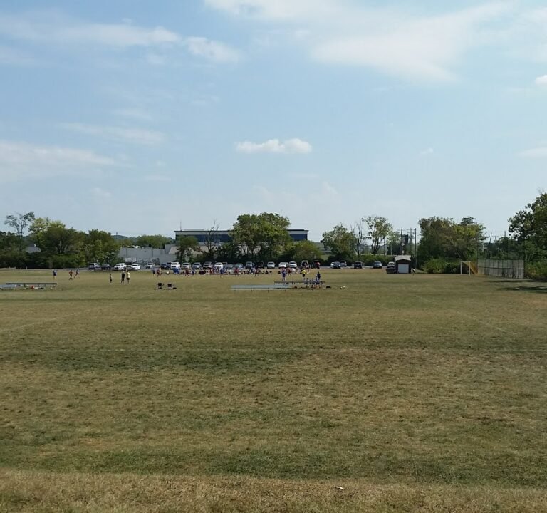 Soccer Field image 2