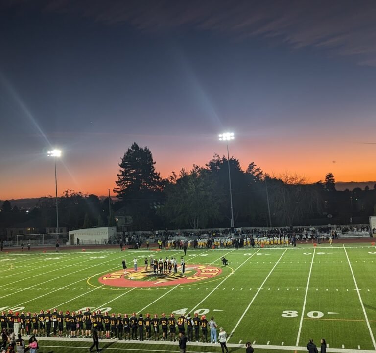 Soccer Field image 2