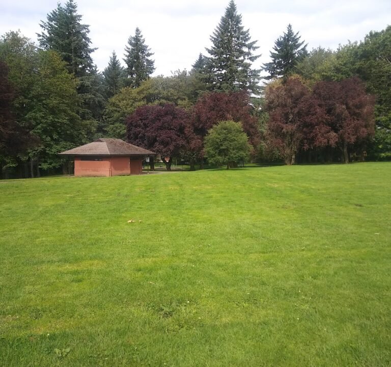 Soccer Field image 2