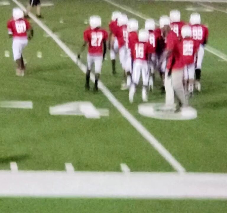 Soccer Field image 3