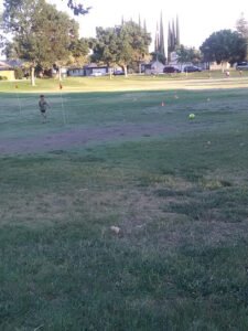 Soccer Field image 1