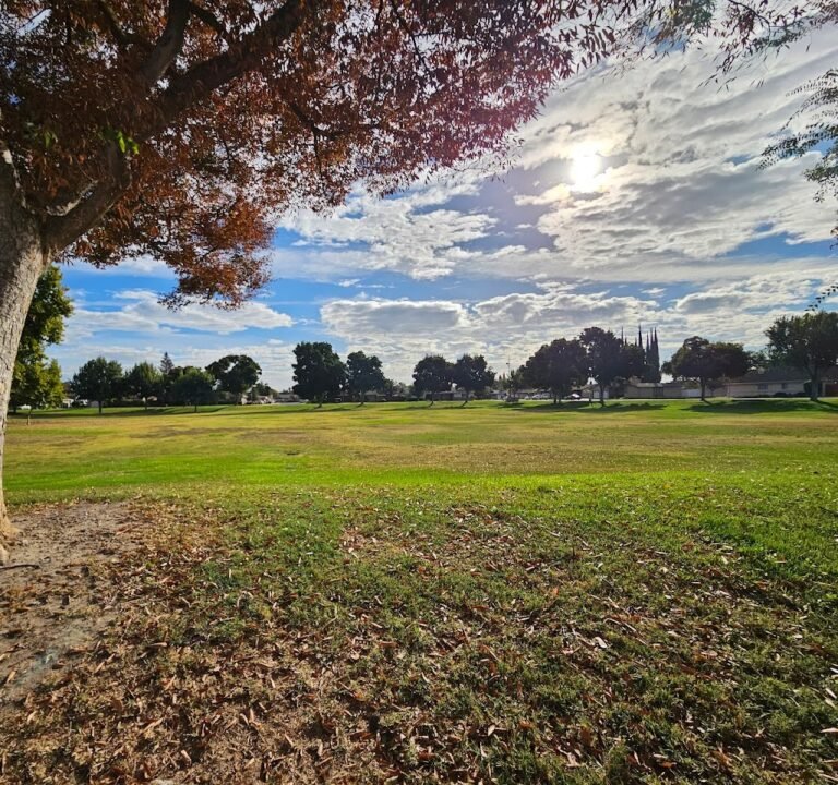 Soccer Field image 2