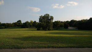 Soccer Field image 1