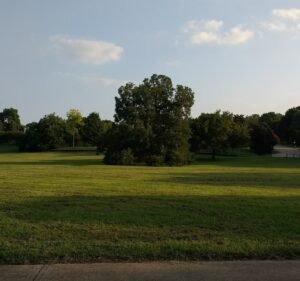 Soccer Field image 2