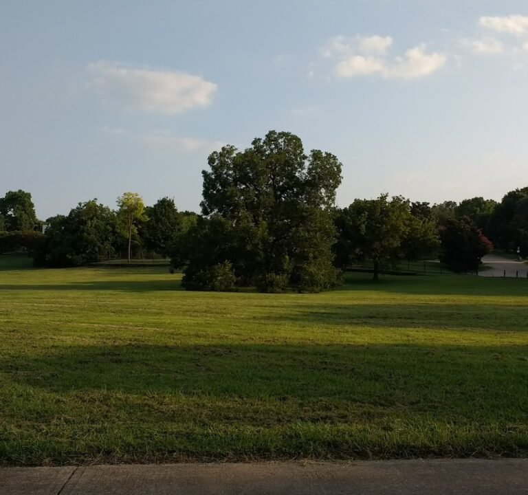 Soccer Field image 2