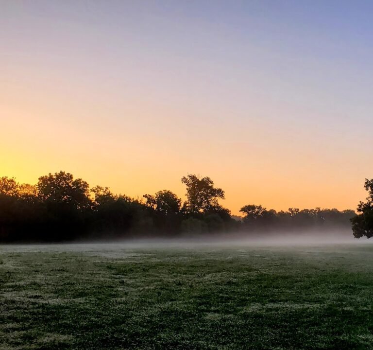 Soccer Field image 3