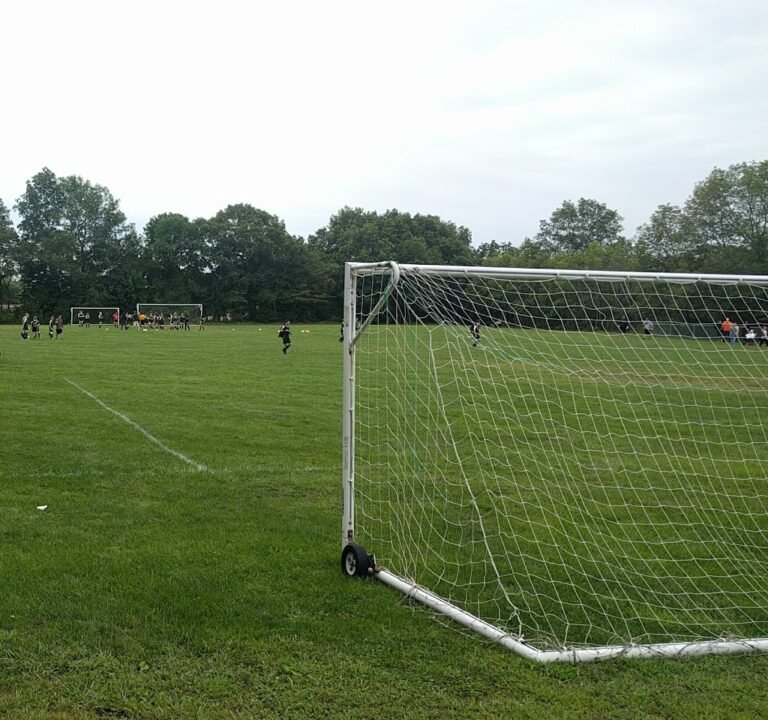 Soccer Field image 2