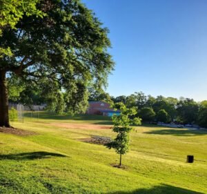 Soccer Field image 2