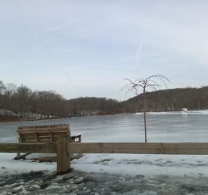 Soccer Field image 2