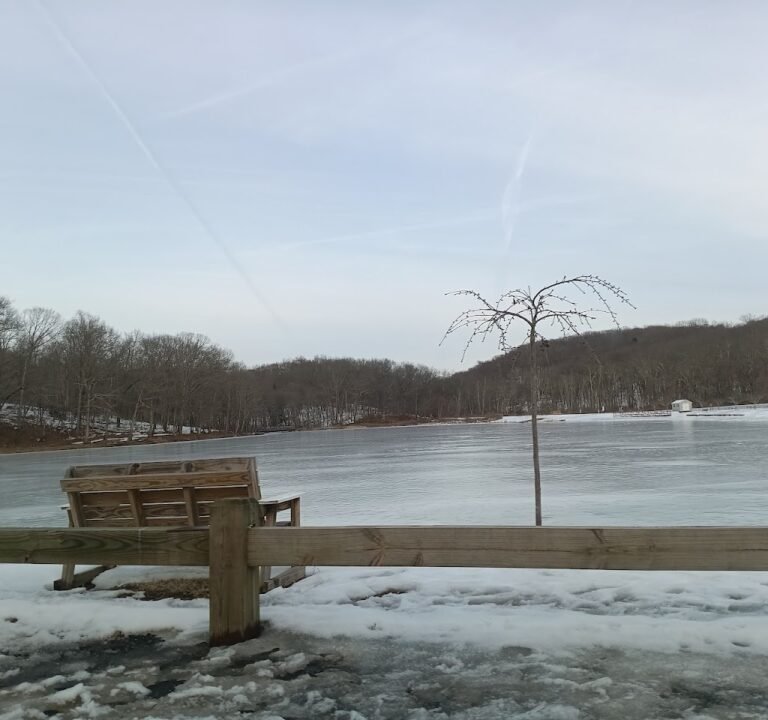 Soccer Field image 2