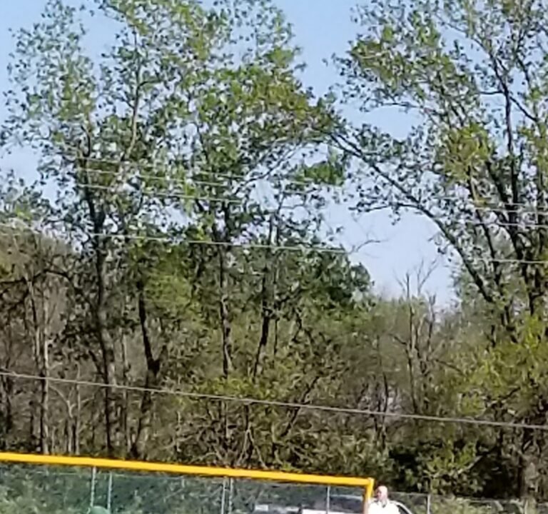 Soccer Field image 2