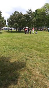 Soccer Field image 1