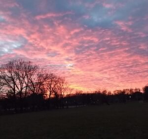 Soccer Field image 3