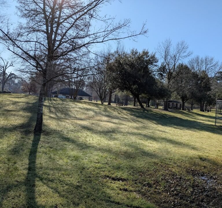 Soccer Field image 3