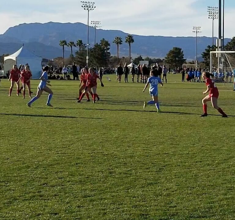 Soccer Field image 4