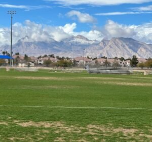 Soccer Field image 2