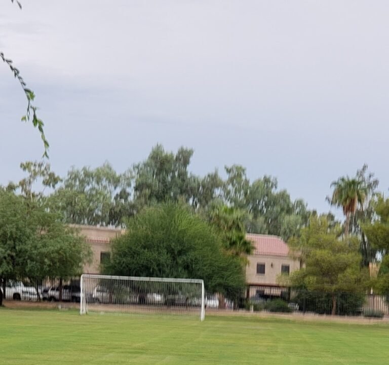 Soccer Field image 2