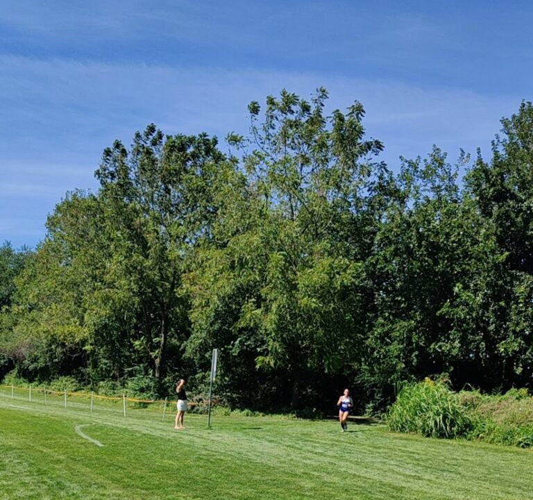 Soccer Field image 4