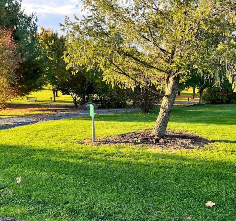 Soccer Field image 2