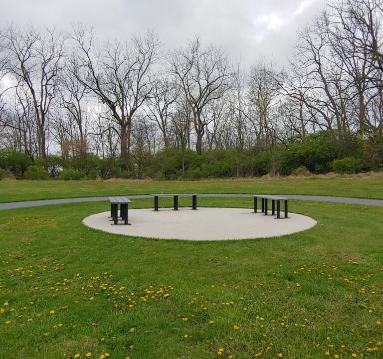 Soccer Field image 2