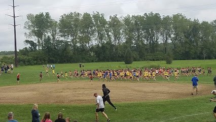 Soccer Field image 1