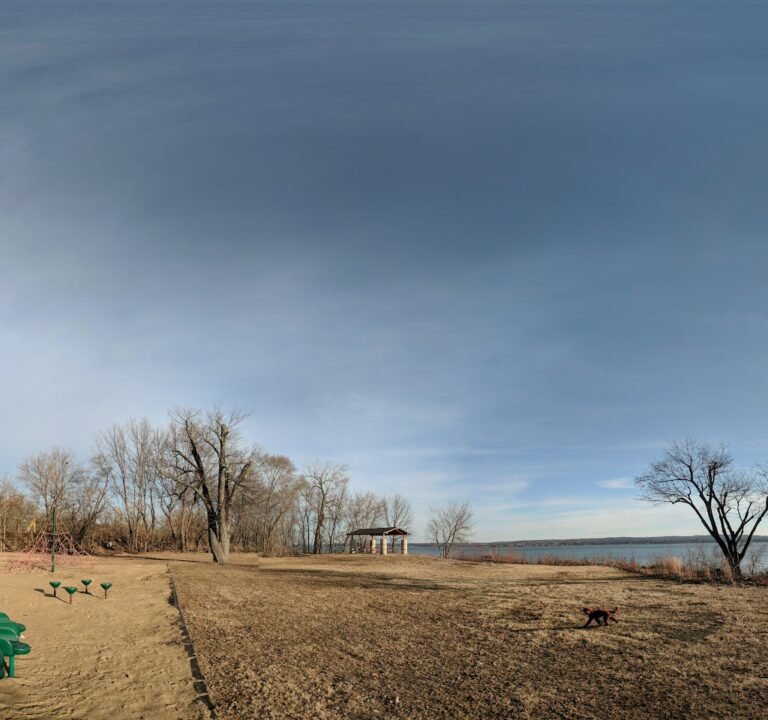 Soccer Field image 3