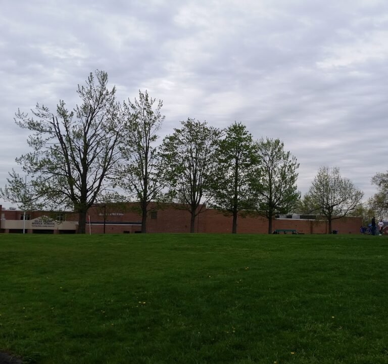 Soccer Field image 2