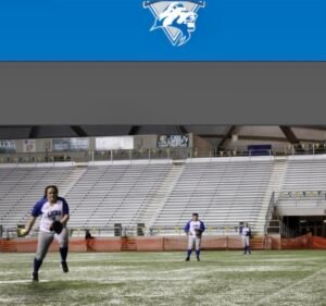 Soccer Field image 3