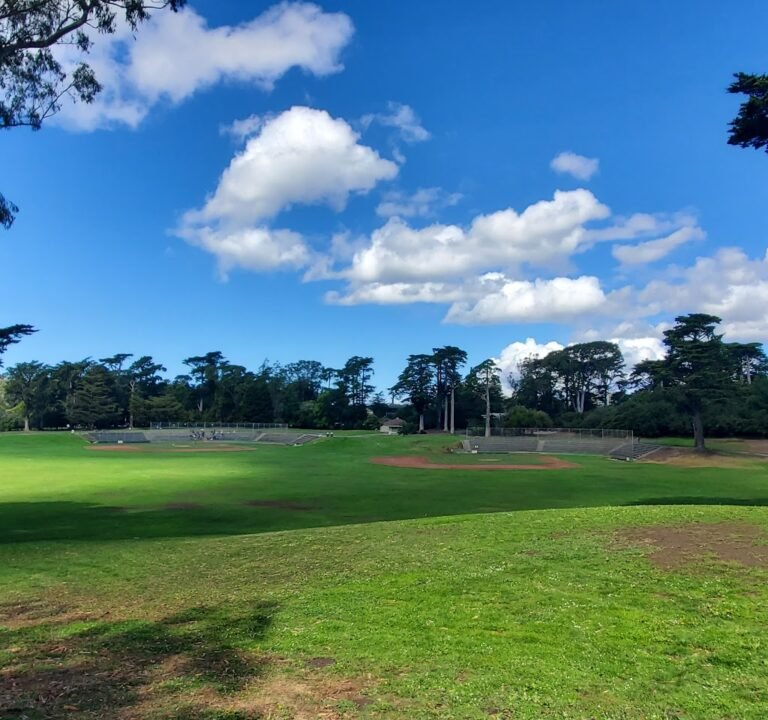 Soccer Field image 2