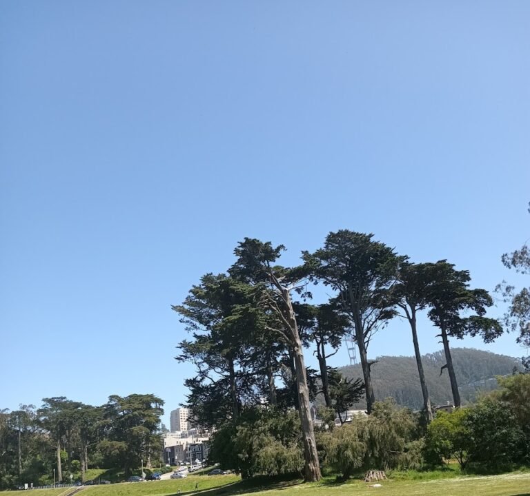Soccer Field image 3